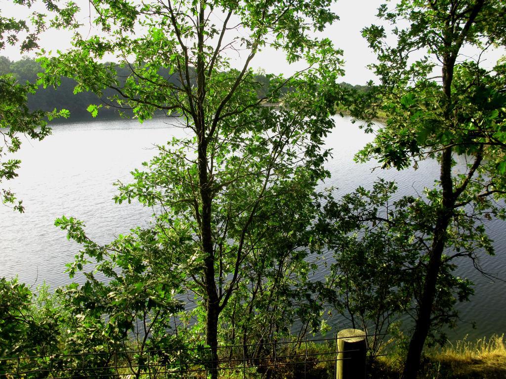 La Buenaventura Del Tietar Vendégház Casavieja Szoba fotó