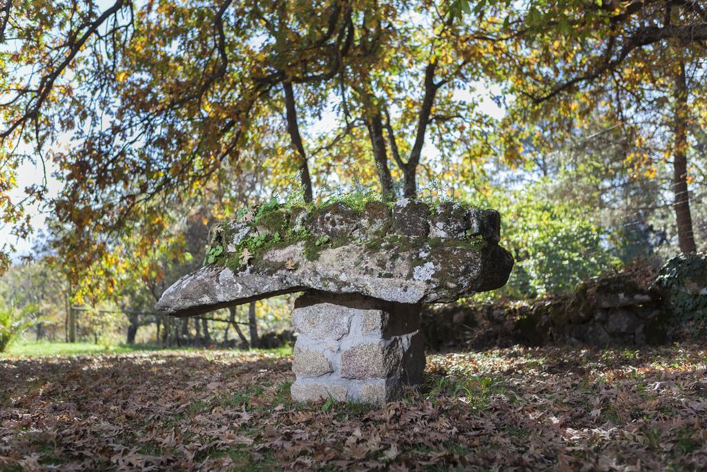 La Buenaventura Del Tietar Vendégház Casavieja Kültér fotó